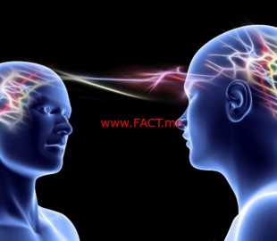 XopoM.com-Сэтгэлзүйн-сонирхолтой-бөгөөд-хөгжилтэй-баримтууд-02