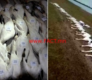 14775606885811c970b5710