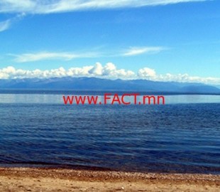 7657983547bf92ae11130