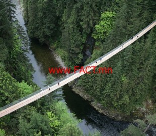 b891c27ed491f93eoriginal