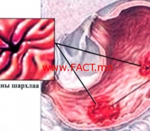 c9317927e8228dc6original