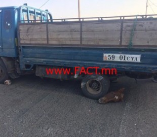 14572985_206606423099900_2816048190457533899_n