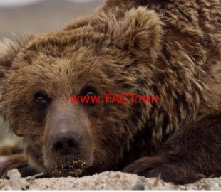 15129784_1611387715586208_637763464_n