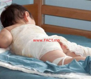 3361275581ff6ad2524341