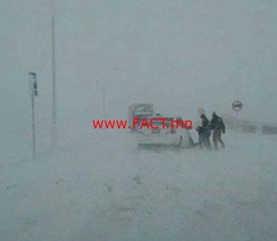 376e53c792b362bb9140e240f0896c01_1200