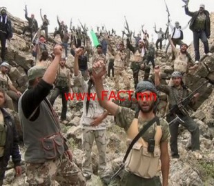 4ca3qaod6nko61elakpfgbf86v1