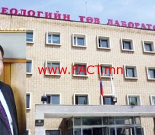 527-147822728211-4-1_700x700