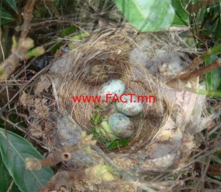 ebb483b83b7a5d6fgreat