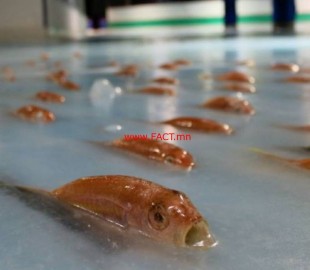 width2x_bxlyBCnNUbTey55