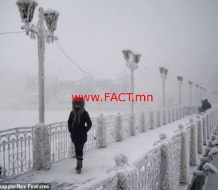 0878c6cbf37caa67original