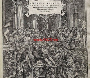 15418355_1187289698020218_2398235686746646108_o