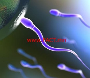 198d521746d153e23216e801f2fe3d14