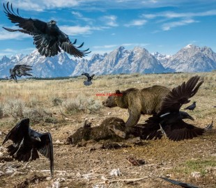 4ae7a9a4-953b-43f4-891b-18d15bb2e17a