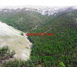 e6400f975520d92500aadfdcf5226874