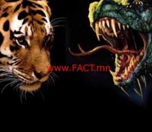 supremacy-india-battle-asian.si