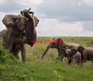 15267680_681784171990218_1135588005890368575_n