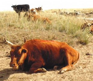 7a8ecd23-08ca-4fa4-95b8-46bd973176db