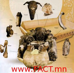 99f8c48e25fe6e3eoriginal