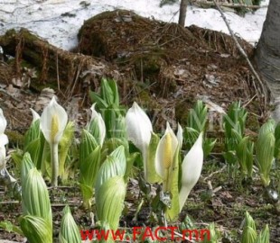 536201285be52de8a179e4d30653dd9d