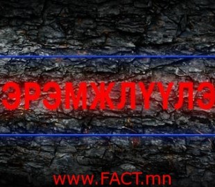 149145925158e5dcb394560