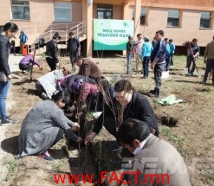 Баянзүрхчүүд 1379 мод тарилаа