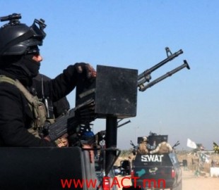 527-141566902710801612_625053057603592_7911565450919761987_n