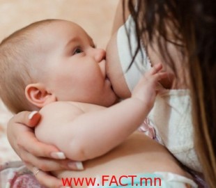 527-149489584563e534_140409204321_1_900x600_x974