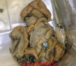 9daeb8cb2ece5f52great