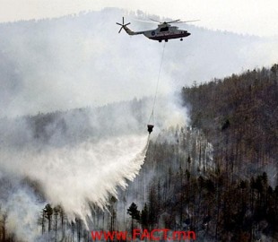 d7b1dcd16541ea47great