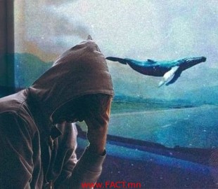 olloo_mn_1496208511_Sinij-kit-tjanet-na-dno-640x426