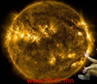 content_enlightenment-cafe