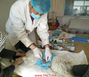 olloo_mn_1497240121_98