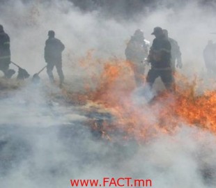 olloo_mn_1498094671_olloo_mn_1497079790_06-09-702x336 (1)