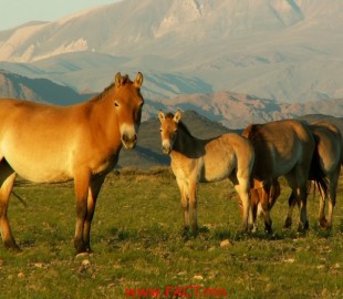 olloo_mn_1498182719_th