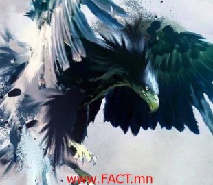 20031589_1348163578565192_5434035541373954002_n