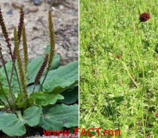 150302705059965f6a2466c