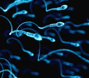 188841359869886995a691