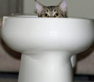 63d4e18b8af8ad523fcc53860924e38a19d3c9df