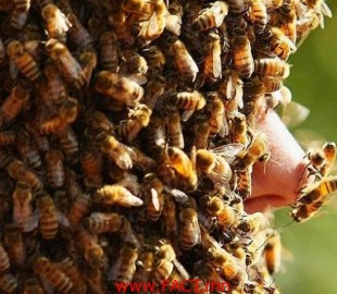 8e1955024eb8e7297ce7bc6dac74beae_120222