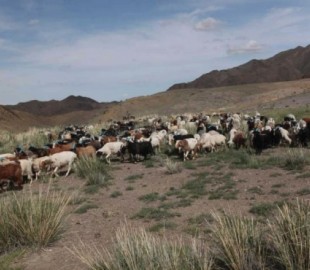 olloo_mn_1501554938_olloo_mn_1437710707_48419e3df15b88e5original