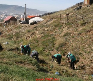 21733181_1661623280576670_1801197879_n