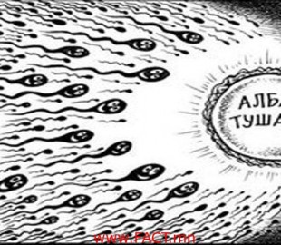 9e81ed8e6ca269289e8d66bbc82eae4e_1200