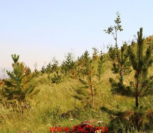 22472582_1694075600664771_79075365_n