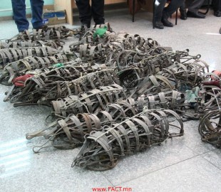 23022980_1563238823736043_239150094_o