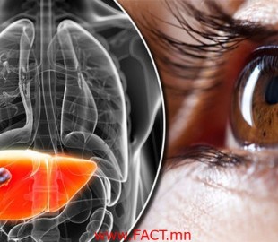 38b6d4b2647de3df00911373805e93b8