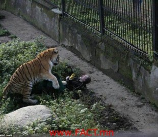 460AF02100000578-5051841-image-a-44_1509897398275-600x400