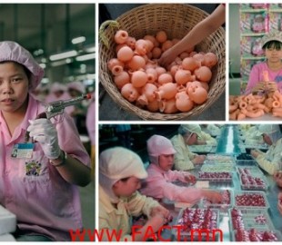 527-1510889331XopoM.com-Хятад-дахь-тоглоомын-үйлдвэрлэл-35