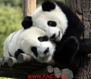 75f70835-3b83-46e7-9cd1-0bf275ab50af