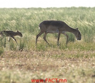 b205767465567809c0da550d667d8ed2