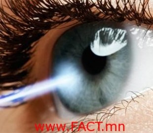 e491d7086b045b29great